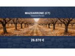 Immobile in asta di 52296 m² in vendita a Mazzarrone