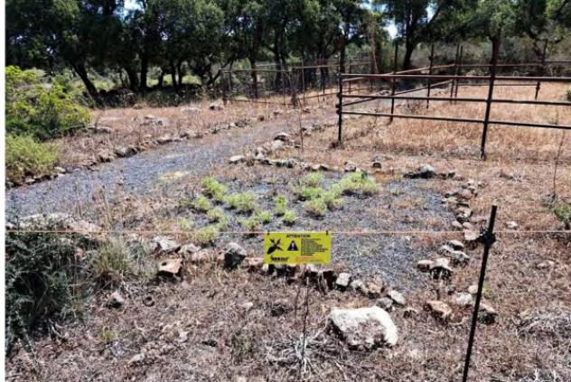 Immobile in asta di 10500 m² in vendita a Melilli - Foto 3