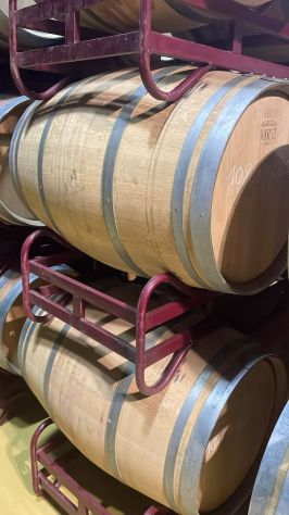 botti di legno - Foto 2