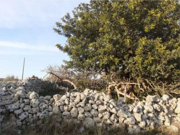 Immobile in asta di 160 m² in vendita a Melilli - Foto 3