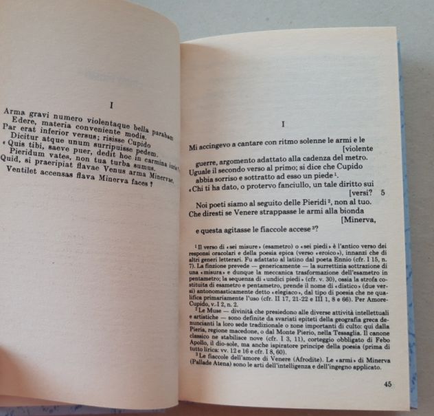 Ovidio - Amori - Foto 7