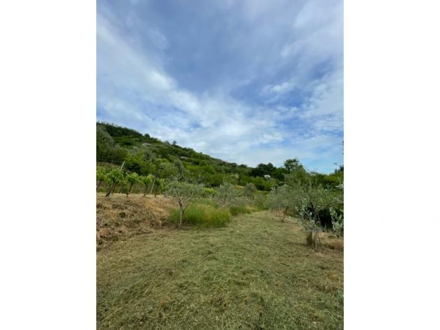 Agricolo in Via Madonna delle Vigne - Foto 11