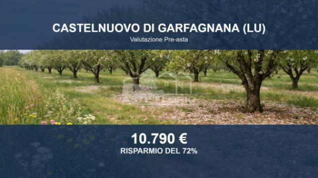 Immobile in asta di 60534 m² in vendita a Castelnuovo di Garfagnana
