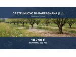 Immobile in asta di 60534 m² in vendita a Castelnuovo di Garfagnana