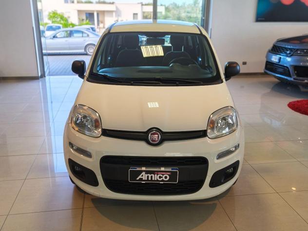 FIAT Panda 1.2 Lounge solo 85.000 2020 - Foto 3