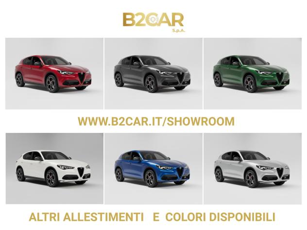 Alfa Romeo Stelvio Stelvio 2.2 t Intensa Q4 210cv auto - Foto 4