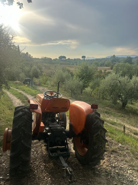 Trattorista - operaio specializzato in azienda agricola - Foto 5