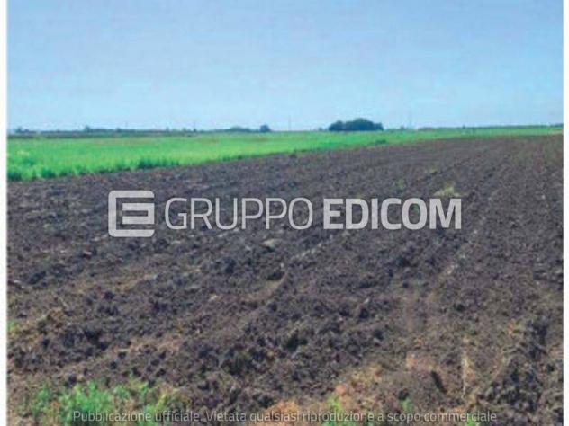 Terreno in vendita a Codigoro - Rif. 4551917 - Foto 2