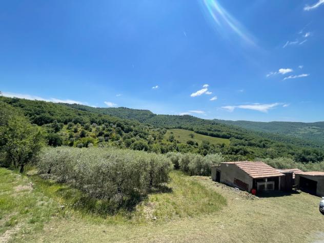 Agricolo in vendita a Piegaro - Foto 5