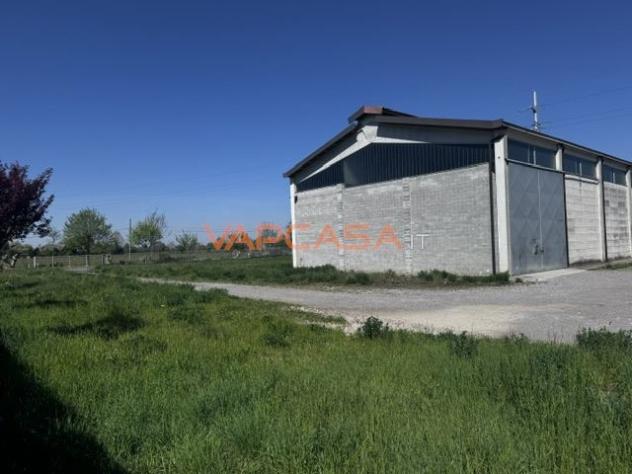 CAPANNONE IN OTTIMO STATO DI 800 MQ SU AREA DI 2800 MQ - Foto 3