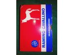 Carte da Gioco Bridge/Ramino/Poker