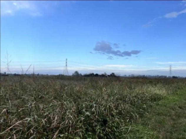 Immobile in asta di 110107 m² in vendita a Adria - Foto 7