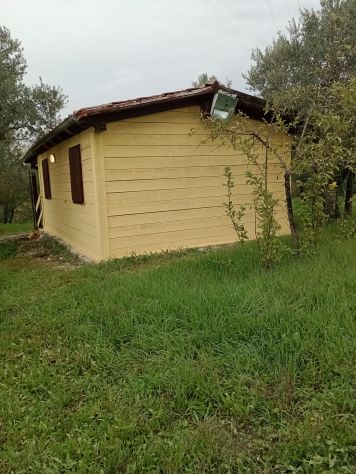 Terreno per agricoltura amatoriale nel Chianti - Foto 4