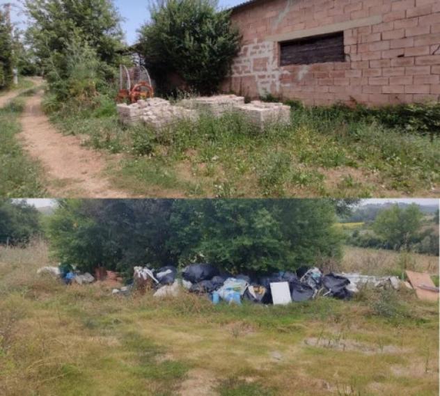 Immobile in asta di 17151 m² in vendita a Siena - Foto 10