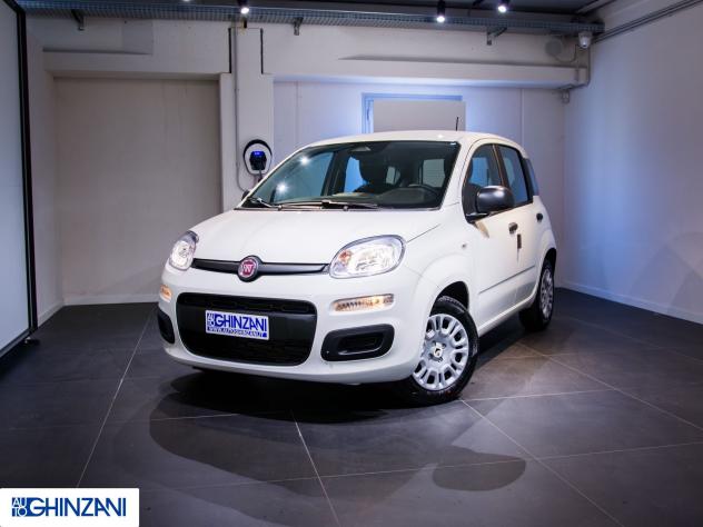 FIAT Panda Panda 1.0 FireFly S&S Hybrid Pop - "PREZZO VERO" - Foto 2