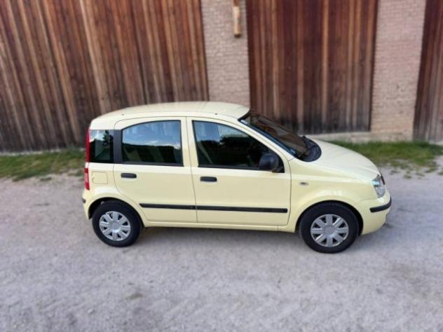 FIAT Panda 1.1 rif. 23794843 - Foto 2