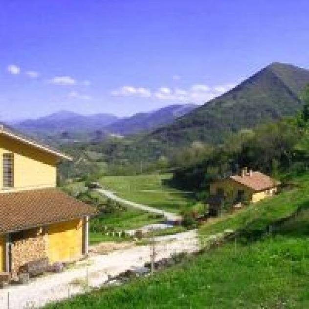 Agriturismo Il Faggio
