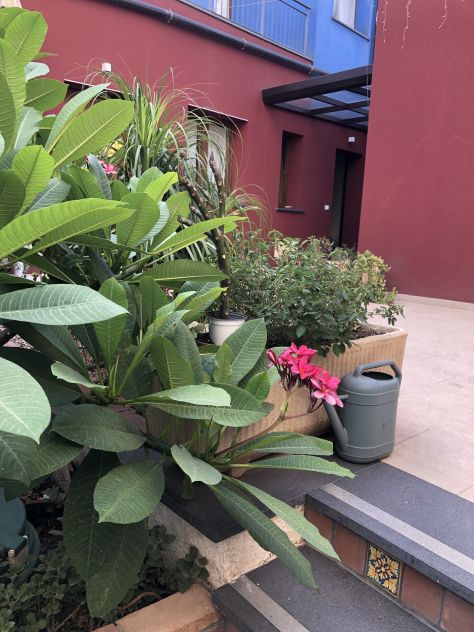 Bivani indipendente nuovo arredato su due livelli, terrazzo climatizzato,