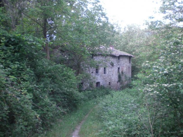 Rustico ex mulino in sassi vic.ze ruscello con terreno 3 ettari - Foto 5