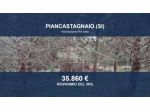 Immobile in asta di 333270 m² in vendita a Piancastagnaio