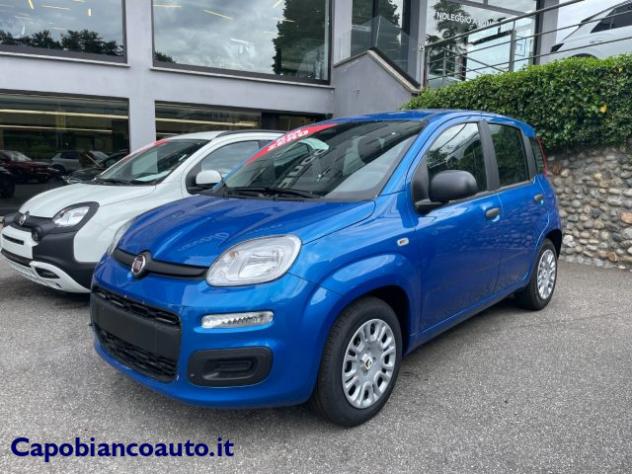FIAT Panda 1.0 FireFly S&S Hybrid ICON KM0 PROMO rif. 23531824