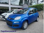 FIAT Panda 1.0 FireFly S&S Hybrid ICON KM0 PROMO rif. 23531824