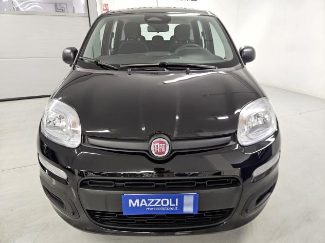FIAT Pandina 1.0 firefly hybrid Icon s&s 65cv - Foto 2