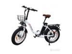 FAT BIKE DRVETION CT20 250W 48V 10AH NUOVO