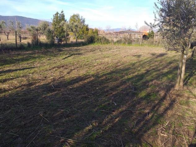 Terreno ed. ind.le/artig.le in vendita a Castelnuovo Magra 1850 mq Rif: 1394404 - Foto 3