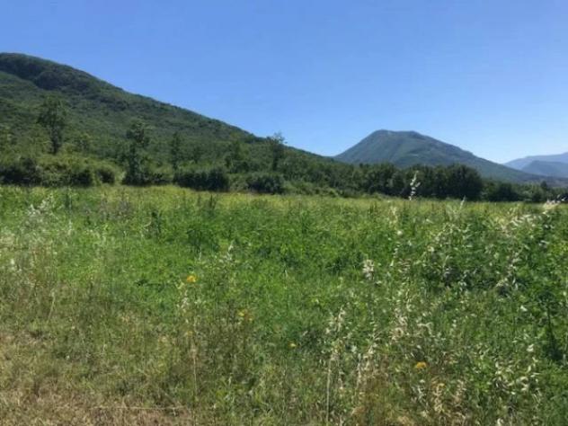 Immobile in asta di 8063 m² in vendita a Gioia Sannitica - Foto 3