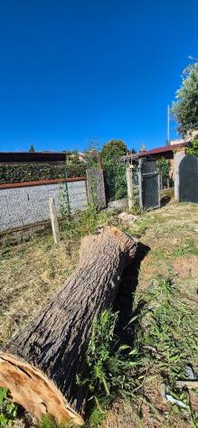 Terratetto in vendita a Casciavola - Cascina 140 mq Rif: 1423650 - Foto 4