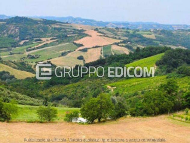 Terreno di 73834 mq in vendita a Cesena - Rif. 4549365 - Foto 3
