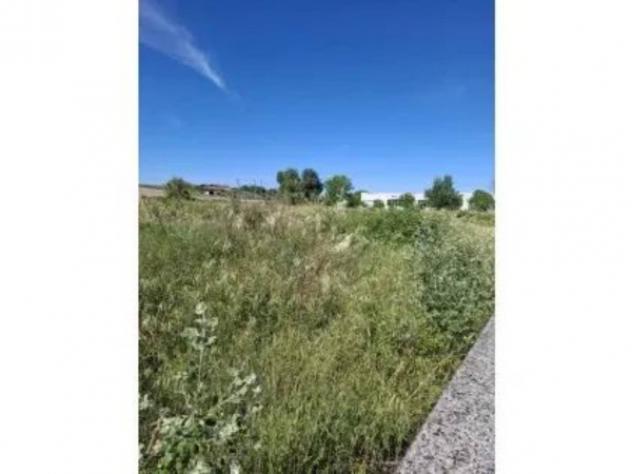 Immobile in asta di 3805 m² in vendita a Morrovalle - Foto 3