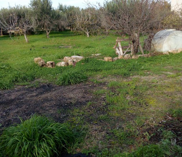 Terreno a 2 km dal paese - Foto 2