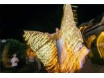 SPETTACOLO  FARFALLE LUMINOSE TRAMPOLIERI FARFALLE LUMINOSE 3478497587
