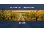 Immobile in asta di 50 m² in vendita a Cassano delle Murge