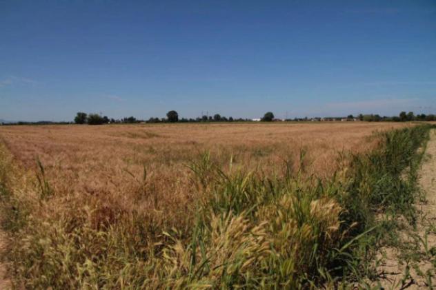 Immobile in asta di 498300 m² in vendita a Cava Manara - Foto 3