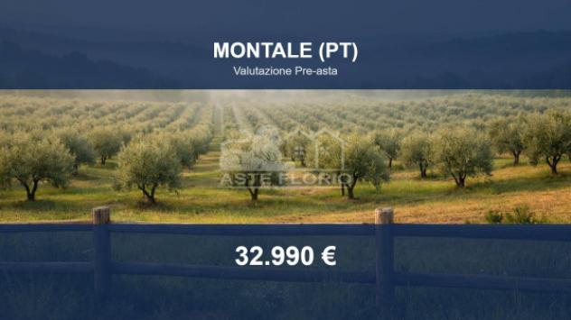 Immobile in asta di 171353 m² in vendita a Montale