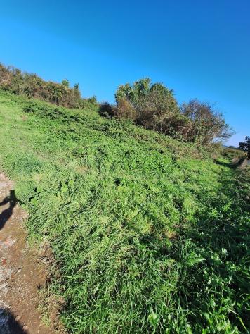 Agricolo in vendita a Morlupo - Foto 3