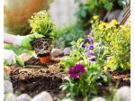 🌿 Il tuo giardino merita una nuova vita!