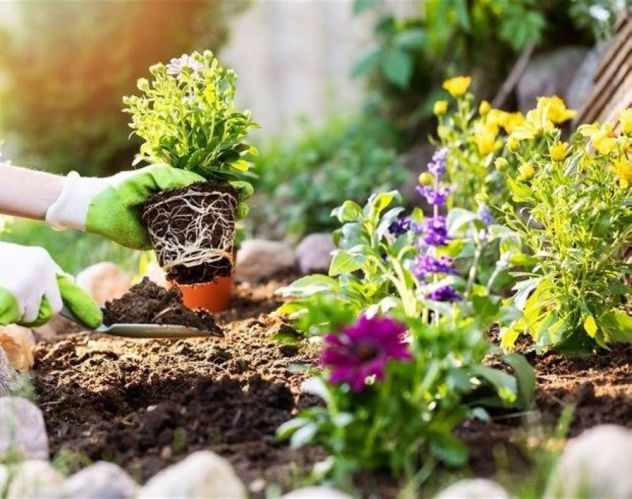 🌿 Il tuo giardino merita una nuova vita!
