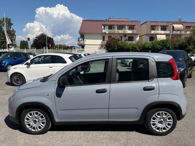 FIAT Panda 1.0 FireFly 70cv Hybrid, CARPLAY, PRONTA CONSEGNA! - Foto 6