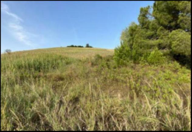 Immobile in asta di 7166 m² in vendita a Montescaglioso - Foto 12