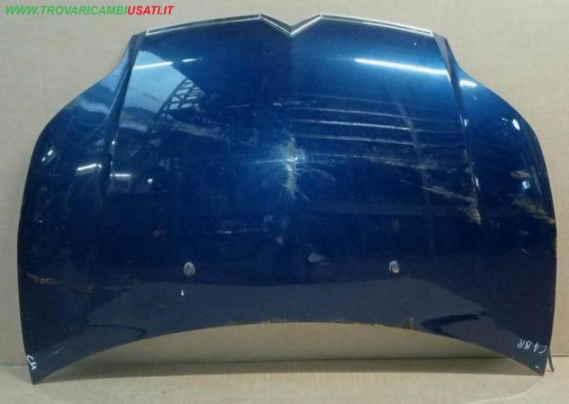 COFANO ANT.(in alluminio) BLU SCURO MET. (Alluminio) 999-U65460