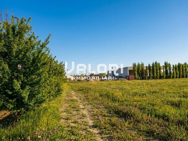 LOTTO EDIFICABILE COMMERCIALE DI 3.000 MQ IN POSIZIONE ANGOLARE - Foto 5