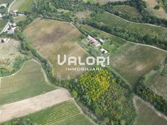 PODERE AGRICOLO DI CIRCA HA 31 OLTRE A CORTE CON CASA COLONICA E SERVIZI - Foto 13