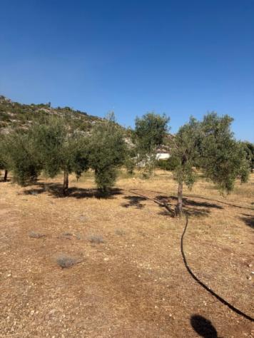 Terreno agricolo di 3 ettari a 4 km da Floridia - Foto 5