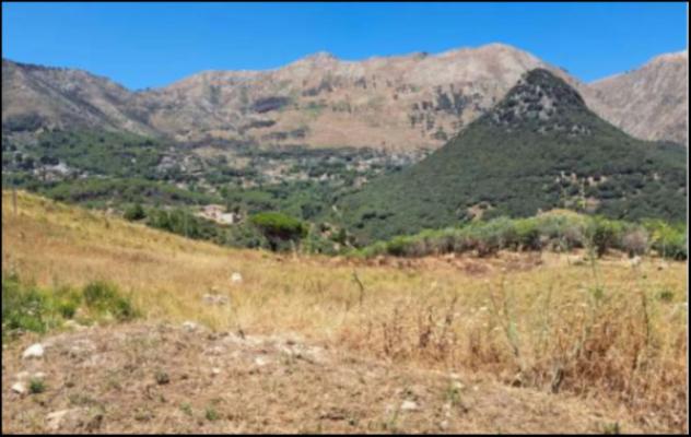 Immobile in asta di 62845 m² in vendita a Monreale - Foto 3