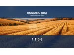 Immobile in asta di 580 m² in vendita a Rosarno