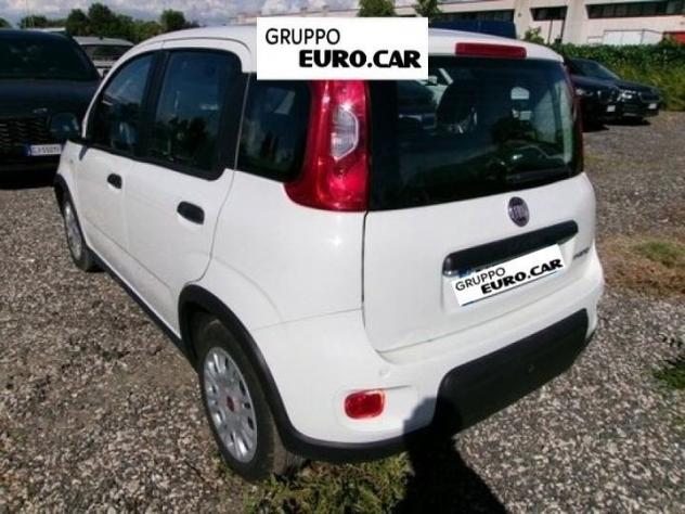 FIAT Panda Panda 1.0 firefly hybrid s&s 70cv 5p.ti - Foto 4